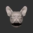 ZBrush-Document.jpg French Bulldog STL Bust & Magnet – High Detail Dog Sculpture for 3D Printing (Fridge Magnet Model)