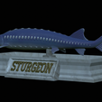 Sturgeon-statue-16.png fish beluga / sturgeon / huso huso / vyza velká statue detailed texture for 3d printing