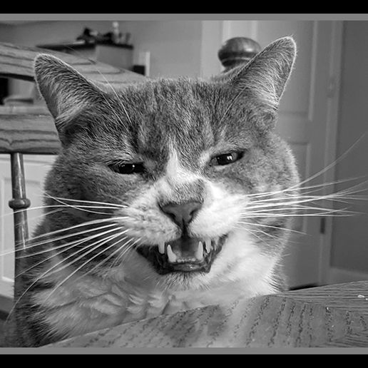 PXL_20201126_211823567_edit2.jpg Орнамент из литофана