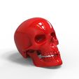 untitled.2649.jpg Skull / Death's Head