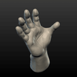 Hand-04.png Hand
