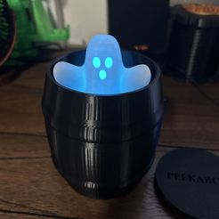 IMG_0675.jpeg STL file GHOST IN A BARREL・Design to download and 3D print