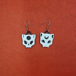 20231104_123528.jpg Aretes skull cat