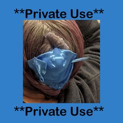 Private-Use.jpg Chignon et épingle à cheveux en galuchat ** Usage privé**