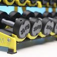 IMG_1732.jpg Gym MINI DUMBBELL RACK kaufen 1 Modell & erhalten 24 kostenlose Modell einfach zu drucken Sport