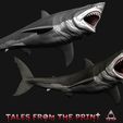 Great-white-shark-megalodon-7-Tales-from-the-print.jpg 鲨鱼--巨齿鲨--大白鲨套装--单件和多件版 品质卓越，由 Tales from the print 提供