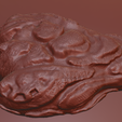 oyster-shell-vol.-8-image-8.png Oyster Shell Vol. 8 – High-Detail 3D Printable Model (STL, OBJ, 3MF)