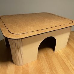 IMG_0874.jpeg Laser cut guinea pig house with living hinge corners