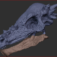 Schermafbeelding-2023-04-12-225438.png Pachycephalosaurus Skull