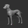 Captura-de-Pantalla-2021-02-07-a-la(s)-22.07.25.png WEIMARANER OR WEIMARANER