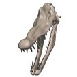 06.jpg Spinosaurus aegypticus