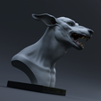 caninesculptedit4.png Canine Sculpt