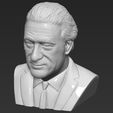 13.jpg Robert De Niro bust 3D printing ready stl obj formats