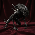 Gemini_Generated_Image_2wq3112wq3112wq3.png Xenomorph-Krieger #2