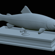 Trout-statue-27.png fish rainbow trout / Oncorhynchus mykiss statue detailed texture for 3d printing