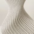 Photo-11-01-2024,-09-38-03.jpg Organic-shaped spiral vase