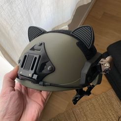 292961945_459366436021325_4484304281759358650_n.jpg Cat Ears for FAST Helmet