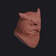 owl_0003.jpg Owl Head