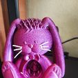 Conejo de Pascua impreso sin soportes