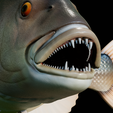 Dentex-trophy-26.png fish Common dentex / dentex dentex trophy statue detailed texture for 3d printing