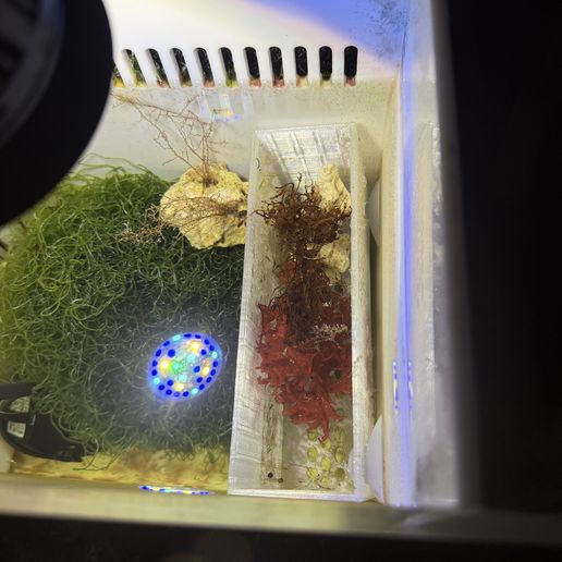 IMG_0689.jpeg Refugium Box