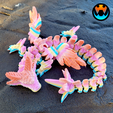 3.png Axolotl Dragon
