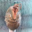 IMG_1347.jpg Alien Facehugger Emerging from an Egg