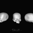 skulls_psd_2.jpg Череп