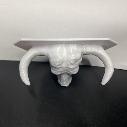 IMG_5677_1.jpg Bullhead  Stierkopf Stier Taurus