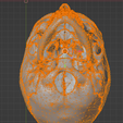 32.png 3D Model of Skull Bones