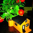 IMG_20231029_223832.jpg Miniature House with Lighting