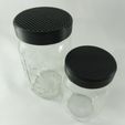 wm_and_regular_mason_jar_horizontal.jpg Sprout Growing Mason Jar Strainer