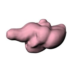 Screenshot-2023-06-02-190331.jpg Cerveau de pigeon