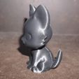 DSC02102.jpg Seated cat