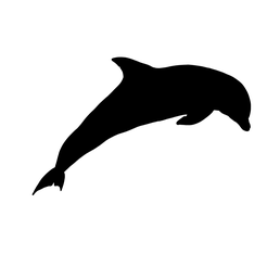 IMG-3654.png Dolphin Silhouette