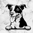 Sin-título.jpg jack russell terrier dog wall decoration wall mural picture pet dog deco wall house realistic Pet