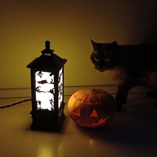 с-кошкой-2.jpg HALLOWEEN LANTERN
