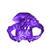 pug_skull_top_front.stl Pug skull