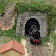 20241220_110517.jpg HO 1/87 tunnel gate