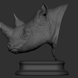 12.png Rhinoceros