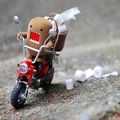 antho_038