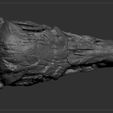 STMMS_0016_Layer-4.jpg Dinosaur skull -  Struthiomimus altus