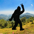 download__8_-removebg-preview-1.png Big Foot Peace sign Silhouette Wall Decor