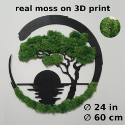 75b38e0f-4237-40cb-885b-7cce77fcab57.png Bonsai mit Moos für die Wand (60cm!)