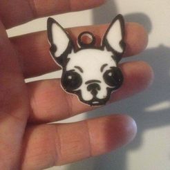 IMG_0881.JPG STL-Datei Chihuahua kostenlos・Objekt zum Herunterladen und Drucken in 3D
