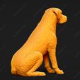 3461-Chesapeake_Bay_Retriever_Pose_04.jpg Chesapeake Bay Retriever Dog 3D Print Model Pose 04