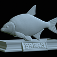 Bream-statue-20.png fish Common bream / Abramis brama statue detailed texture for 3d printing