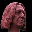 Screenshot_2.jpg Severus Snape Head