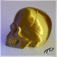 SkullVase_V2_2.jpg Free STL file Skull V2 - Vase mode・Object to download and to 3D print