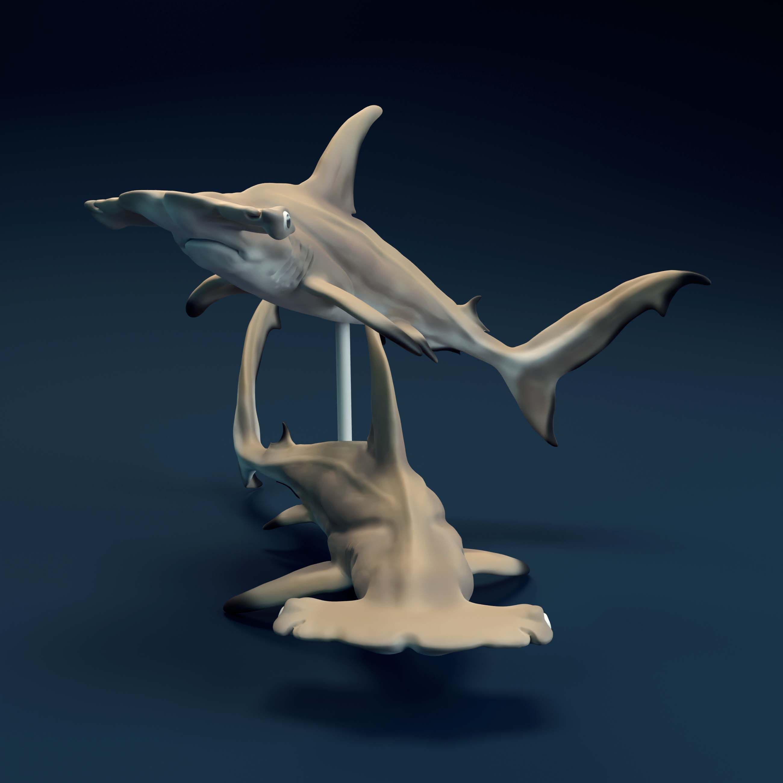 Hammerheads_1.jpg 3D-Datei Hammerhaie・3D-Druck-Idee zum Herunterladen, AnimalDenMiniatures